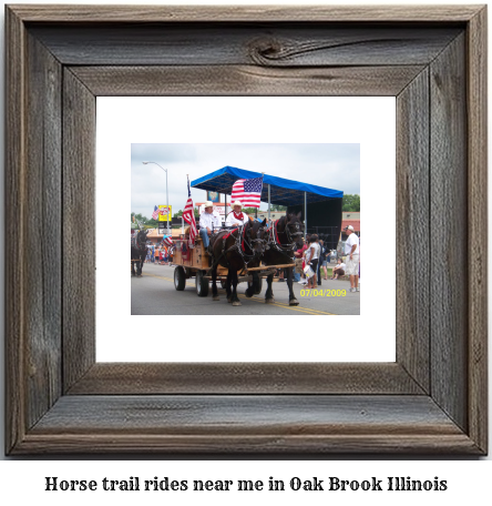 horse trail rides near me in Oak Brook, Illinois